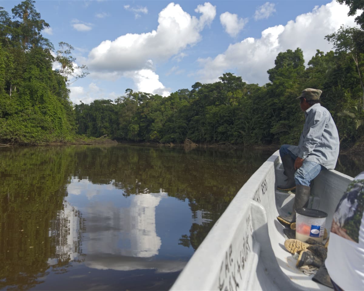 A man sits at the the head of a motorized canoe looking onto a river and the shore covered by trees. The sky is blue with white, puffy clouds