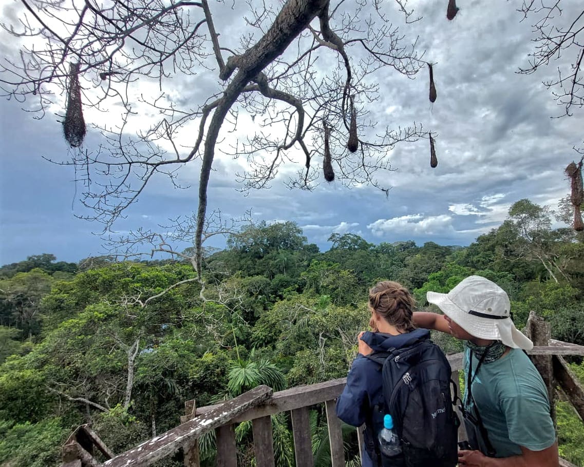 A young women follows the pointed finger of the birding guide into the tree canopy hoping to spot a bird