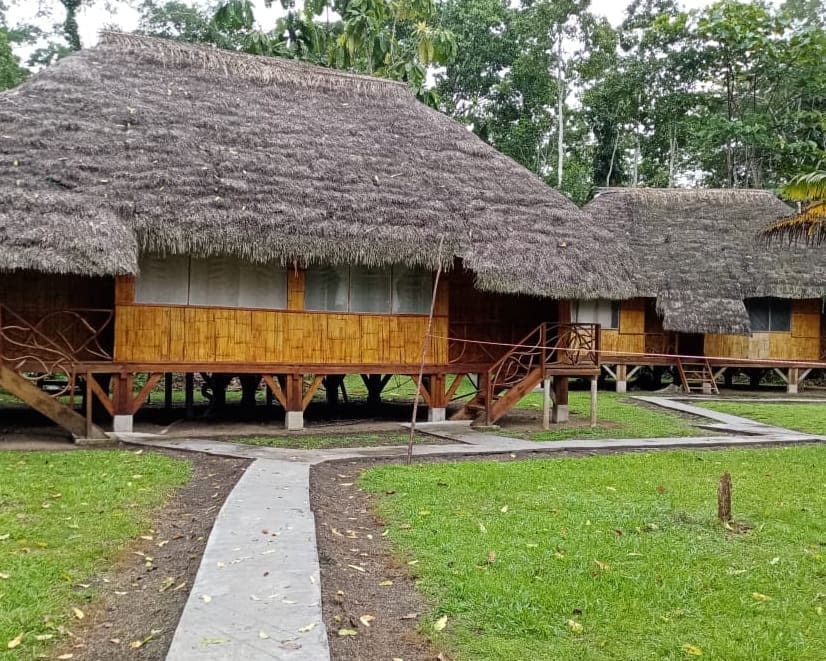 Picture of cabins built from local materials including thatched roofs