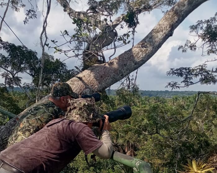 Two men, one with a camera and long lens, look out over the top of the tree canopy