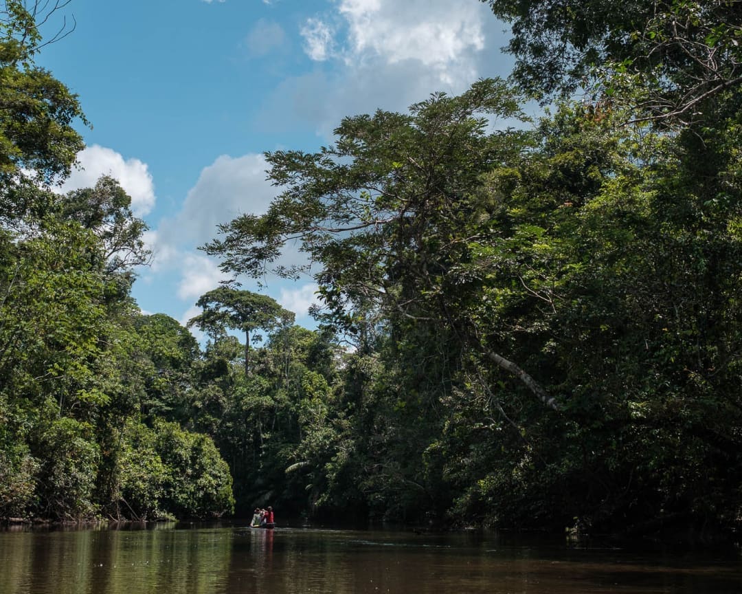 A low-lying canoe with three people floats on a blackwater stream bordered by thick jungle. The sky is blue with a few white clouds.